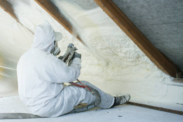 Best Eco-Friendly or Green Insulation Solutions in Ackerman, MS